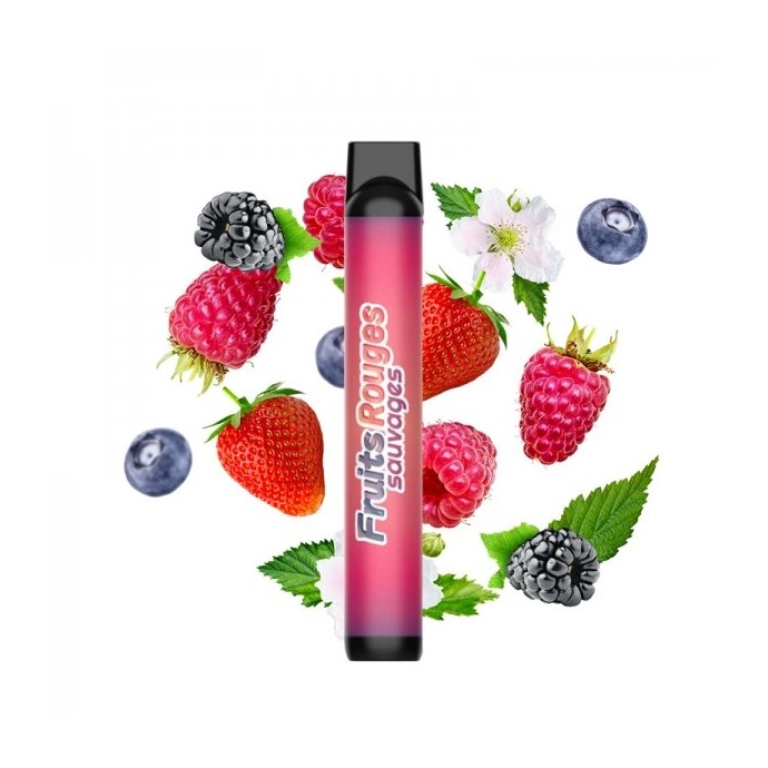 Fruits Rouges Sauvages - 600 Puffs - Big Puff